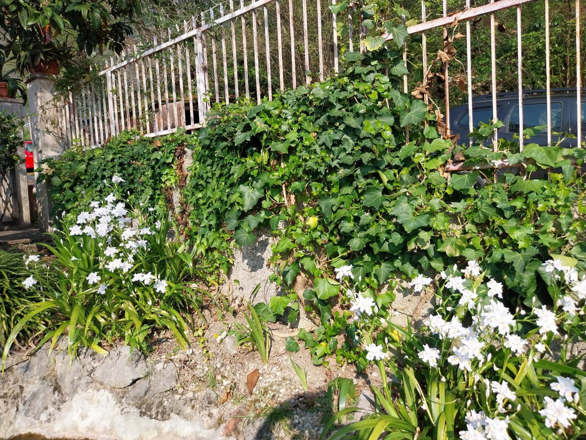 Villa Panoramica Gazzi Arco Dış mekan fotoğraf